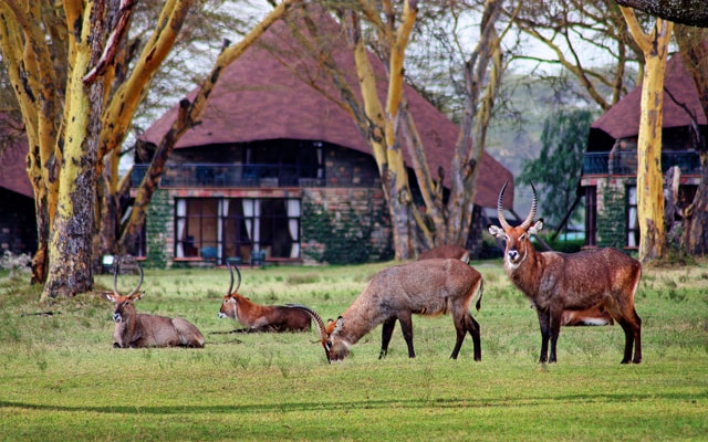 62555af6e1617e82b28b8cce